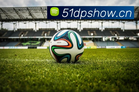 开云kaiyun网页版发展历程